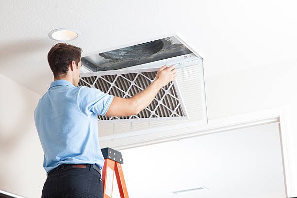 Best Air quality test  in West Carthage, NY